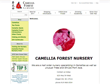 Tablet Screenshot of camforest.com